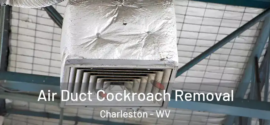  Air Duct Cockroach Removal Charleston - WV
