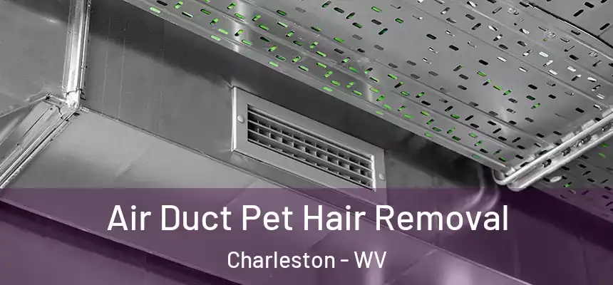  Air Duct Pet Hair Removal Charleston - WV