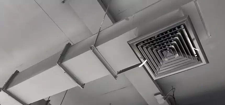 Our Rodent Droppings In Vents Services in Charleston, WV