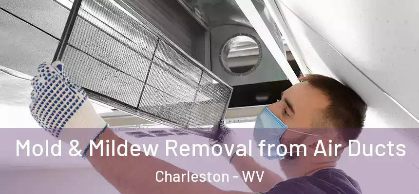  Mold & Mildew Removal from Air Ducts Charleston - WV
