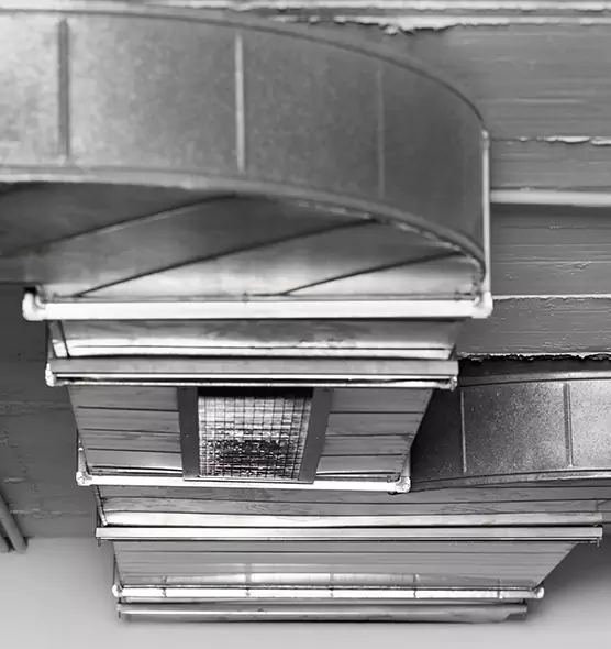 Professional Air Duct Pet Hair Removal in Charleston, WV