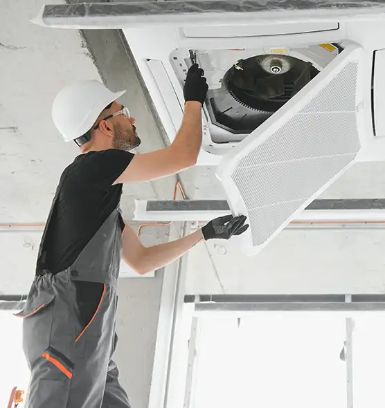 About Air Duct Rodent Removal in Charleston, WV