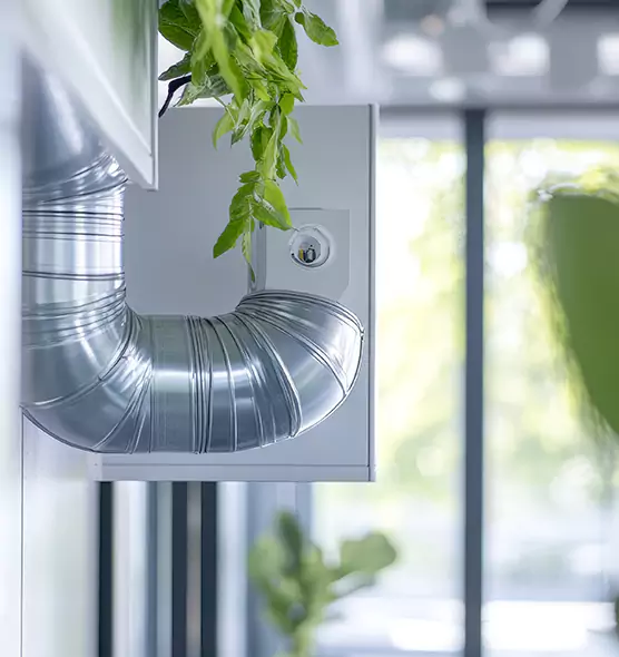 Professional Eco-Safe Dryer Vent Cleaning in Charleston, WV